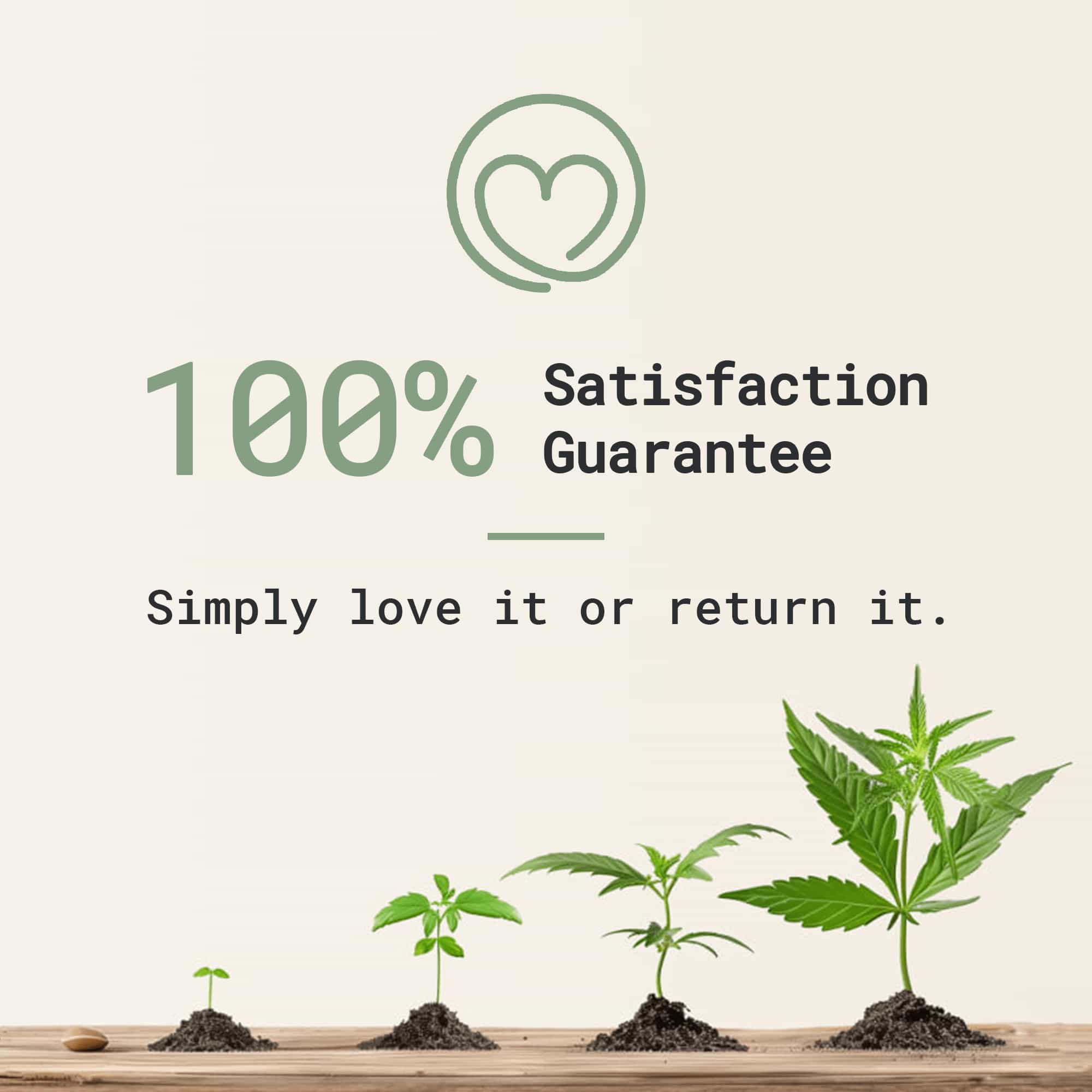 CBD Massage Oil - Image 4